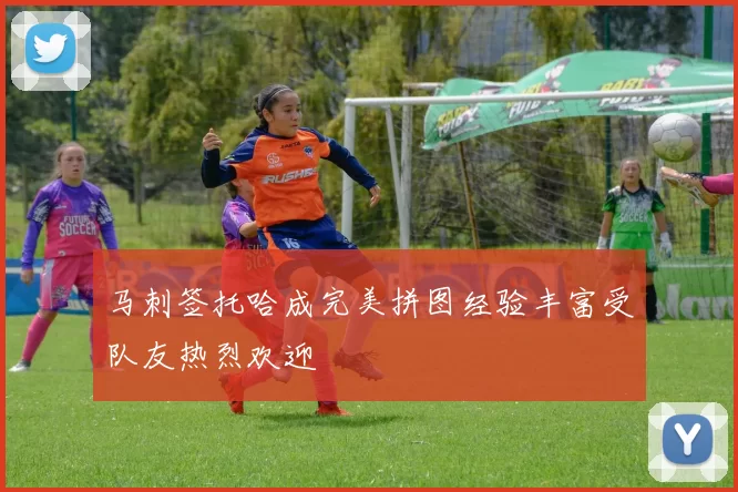 马刺签托哈成完美拼图经验丰富受队友热烈欢迎