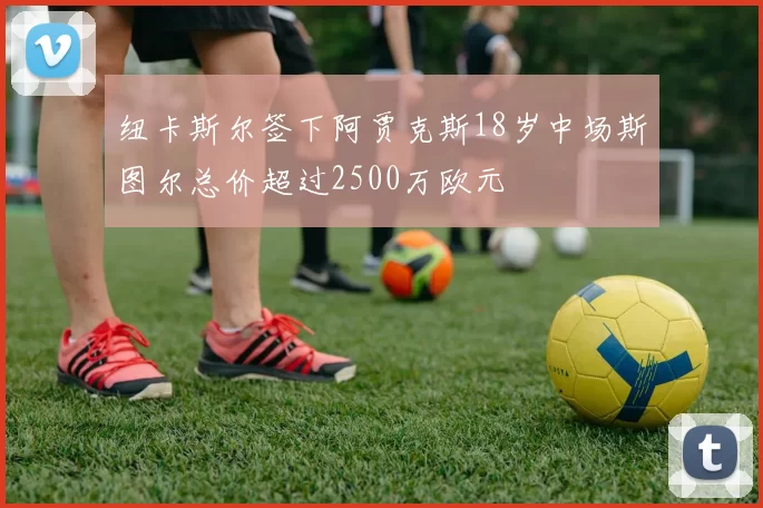 纽卡斯尔签下阿贾克斯18岁中场斯图尔总价超过2500万欧元